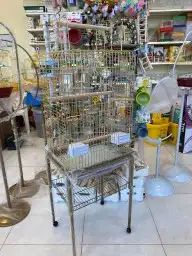 مستلزمات واكل طيور كروان روز كاسكو دره 33