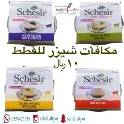 اغراض ومستلزمات واكل قطط امريكي سبيري هملايا 45