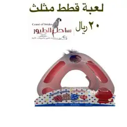 اغراض ومستلزمات واكل قطط امريكي سبيري هملايا 51