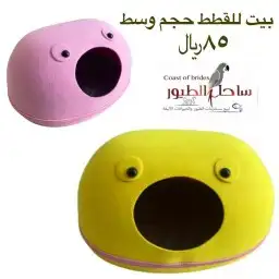 اغراض ومستلزمات واكل قطط امريكي سبيري هملايا 52