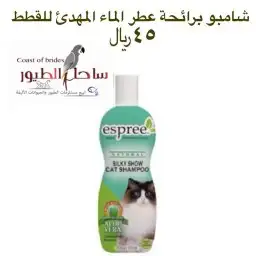 اغراض ومستلزمات واكل قطط امريكي سبيري هملايا 50