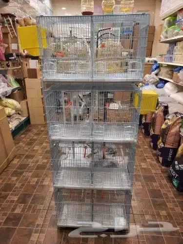 مستلزمات واكل طيور كروان روز كاسكو دره 54