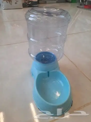 اغراض ومستلزمات واكل قطط امريكي سبيري هملايا 25