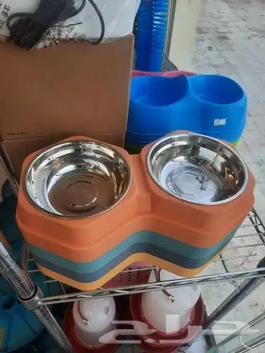 اغراض ومستلزمات واكل قطط امريكي سبيري هملايا 21