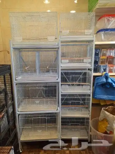 مستلزمات واكل طيور كروان روز كاسكو دره 52