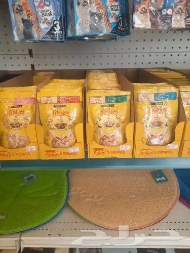 اغراض ومستلزمات واكل قطط امريكي سبيري هملايا 27