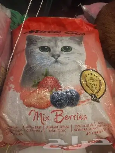 اغراض ومستلزمات واكل قطط امريكي سبيري هملايا 30