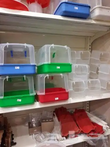 مستلزمات واكل طيور كروان روز كاسكو دره 50