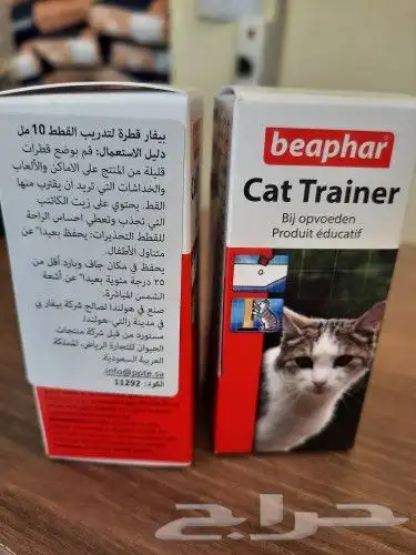 اغراض ومستلزمات واكل قطط امريكي سبيري هملايا 32