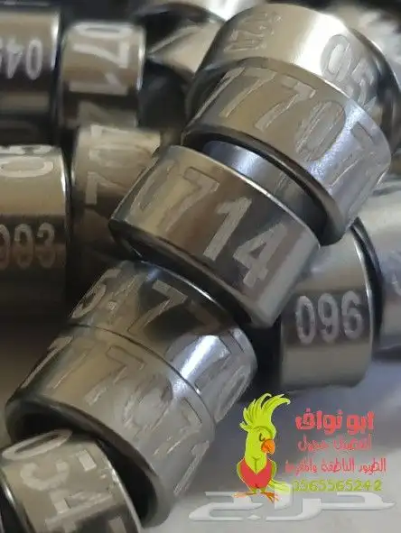 تفصيل حجول ابونواف اجود انواع الخامات 9
