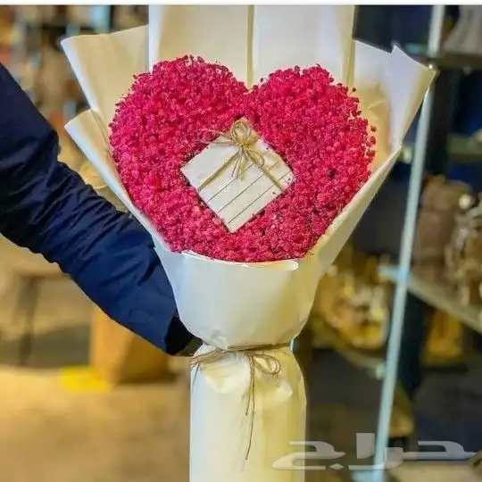 خميس مشيط ابها 0