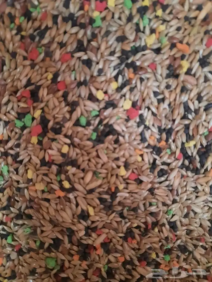 مستلزمات واكل طيور كروان روز كاسكو دره 3