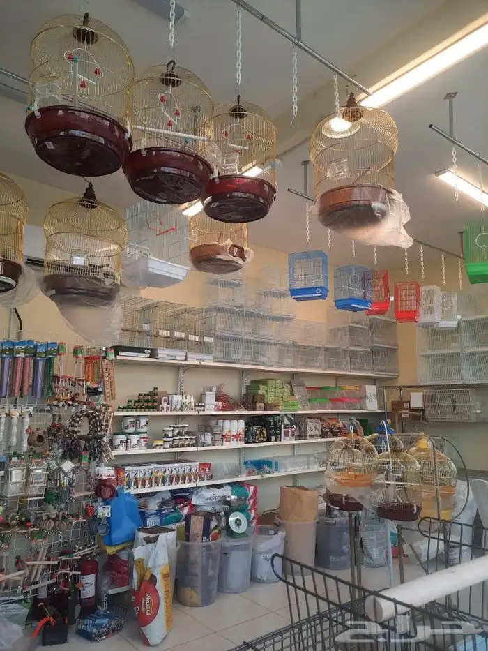 مستلزمات واكل طيور كروان روز كاسكو دره 12