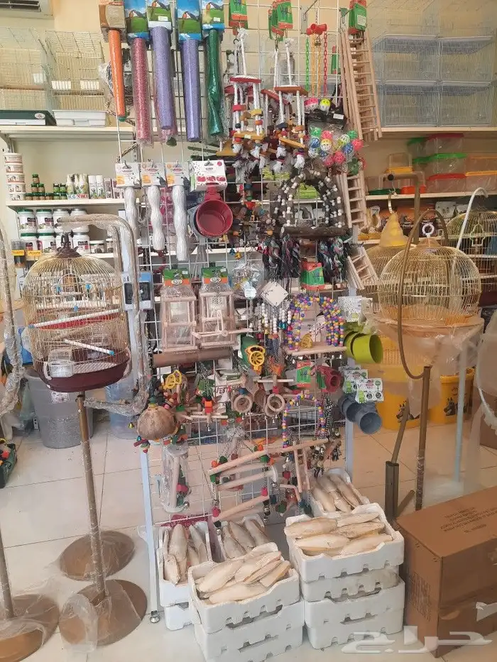 مستلزمات واكل طيور كروان روز كاسكو دره 6