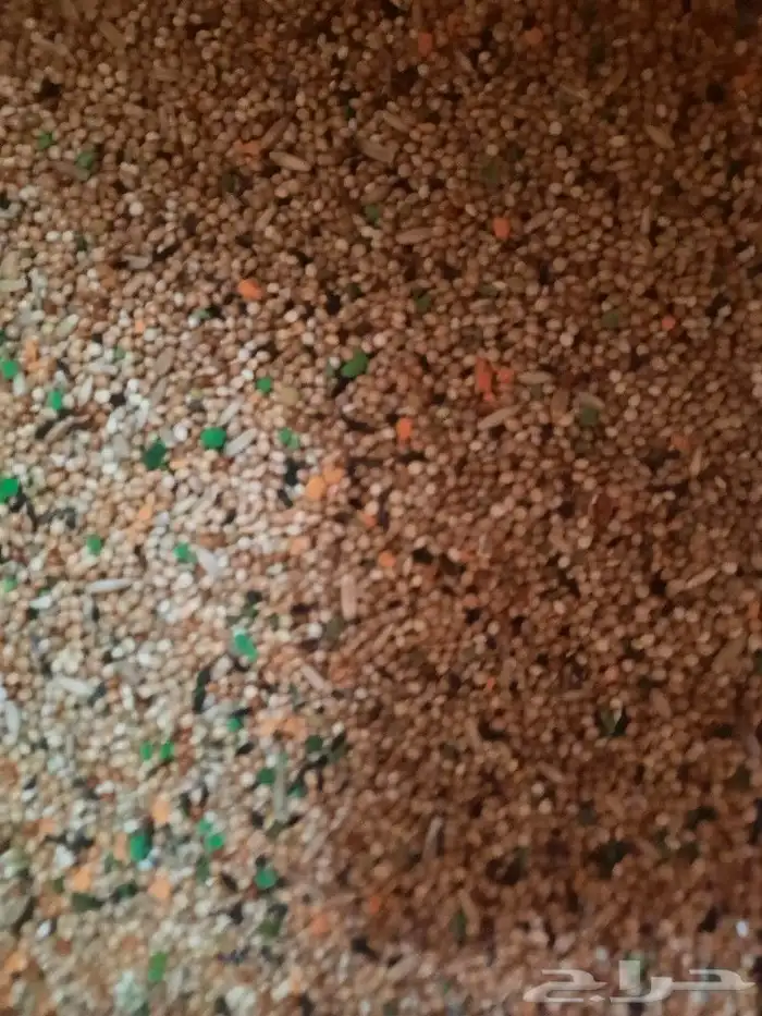 مستلزمات واكل طيور كروان روز كاسكو دره 2