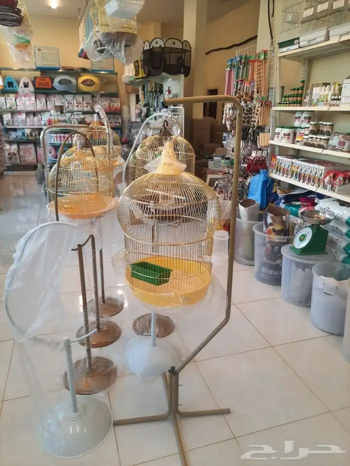 مستلزمات واكل طيور كروان روز كاسكو دره 11