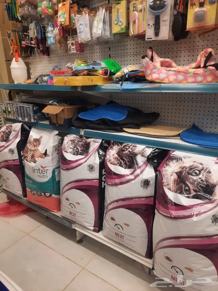 اغراض ومستلزمات واكل قطط امريكي سبيري هملايا 15