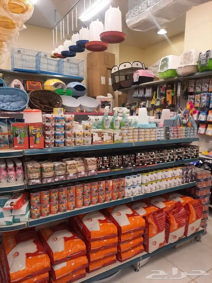 اغراض ومستلزمات واكل قطط امريكي سبيري هملايا 5