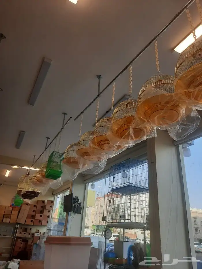 مستلزمات واكل طيور كروان روز كاسكو دره 14