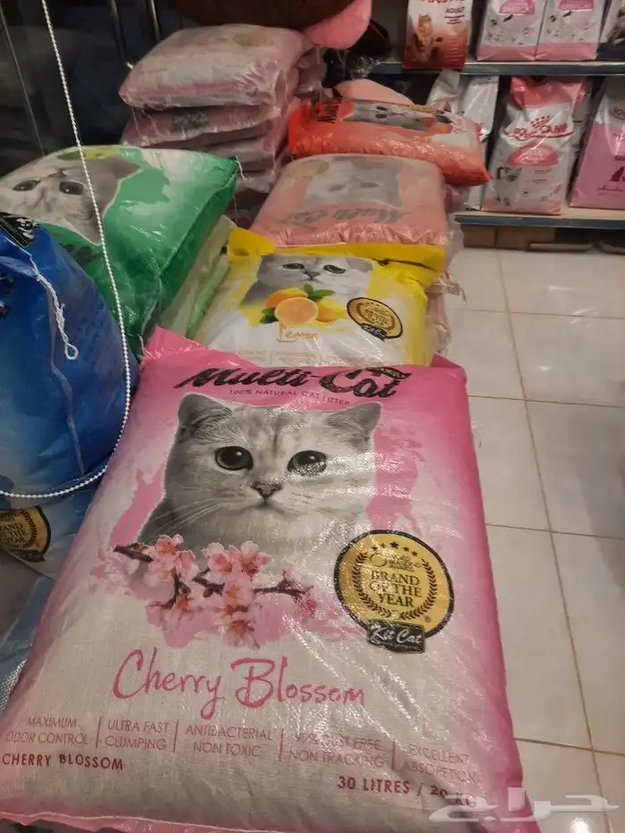 اغراض ومستلزمات واكل قطط امريكي سبيري هملايا 13