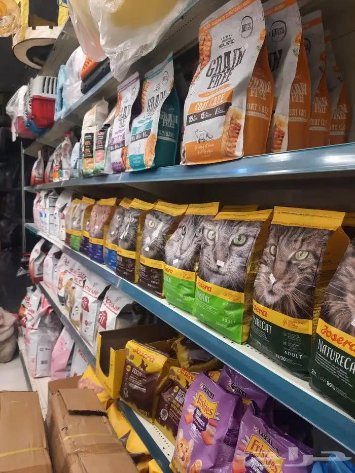 اغراض ومستلزمات واكل قطط امريكي سبيري هملايا 9