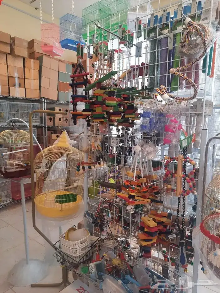 مستلزمات واكل طيور كروان روز كاسكو دره 5