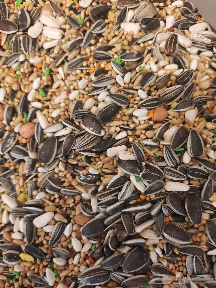 مستلزمات واكل طيور كروان روز كاسكو دره 1