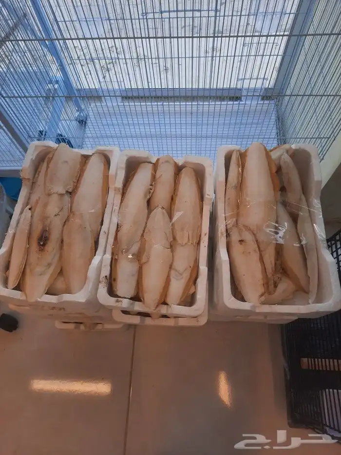 مستلزمات واكل طيور كروان روز كاسكو دره 22