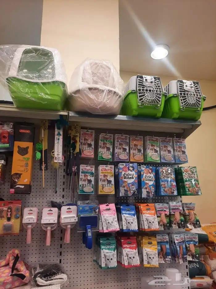 اغراض ومستلزمات واكل قطط امريكي سبيري هملايا 19