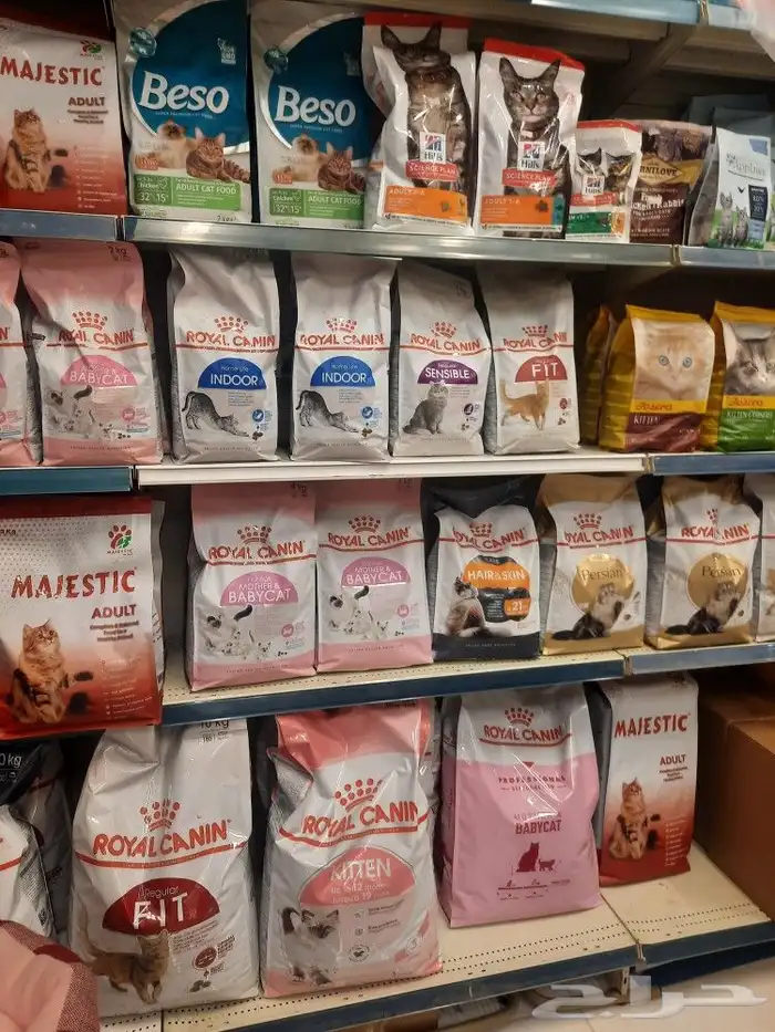 اغراض ومستلزمات واكل قطط امريكي سبيري هملايا 6