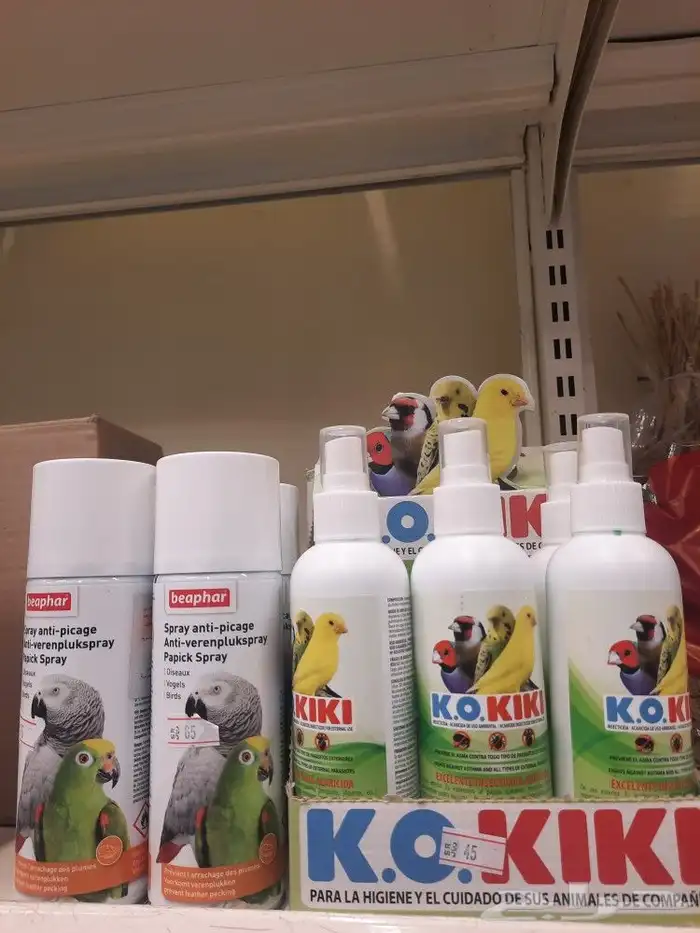 مستلزمات واكل طيور كروان روز كاسكو دره 24