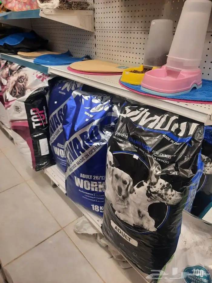 اغراض ومستلزمات واكل قطط امريكي سبيري هملايا 16