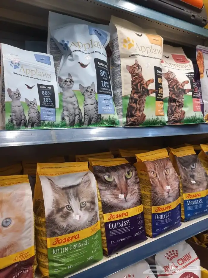 اغراض ومستلزمات واكل قطط امريكي سبيري هملايا 7