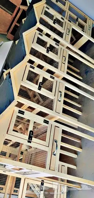 مطير قفص طيور تربية طيور 19