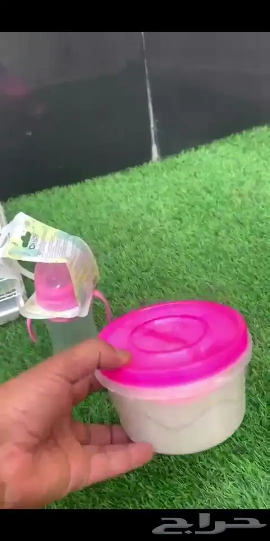 ماعز قزمي تشيكي ذكر مباع الله يبارك لهم 3