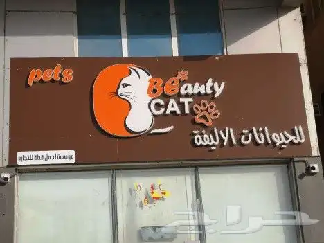 خدمات القطط cat 1