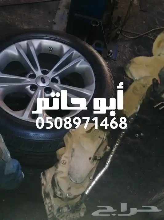 دودة دركسيون 0