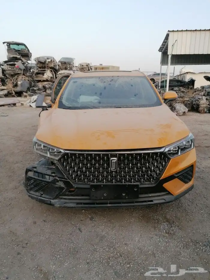فاوو T77 2022 3