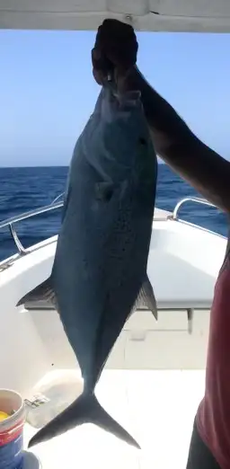 رحلات بياضه بوت مني يخت قارب سفينه 29