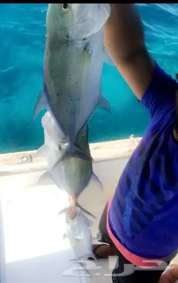 رحلات بياضه بوت مني يخت قارب سفينه 35