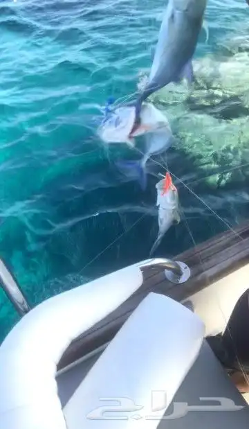 رحلات بياضه بوت مني يخت قارب سفينه 30