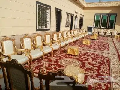 تجهيز مخيمات وحفلات 24