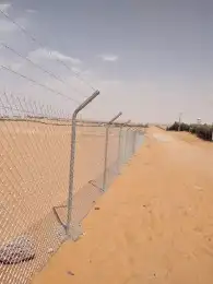 تركيب الشبوك وتوريد النخيل 6