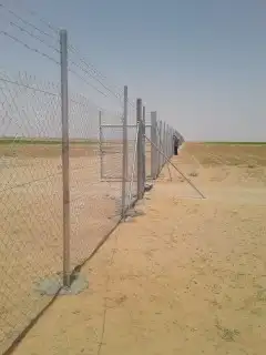 تركيب الشبوك وتوريد النخيل 4