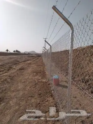 تركيب الشبوك وتوريد النخيل 5