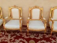 منظم حفلات ومخيمات 3