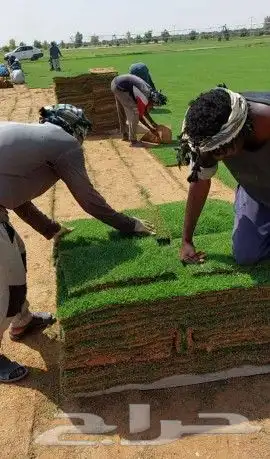 ثيل C200 درجه اولى 7