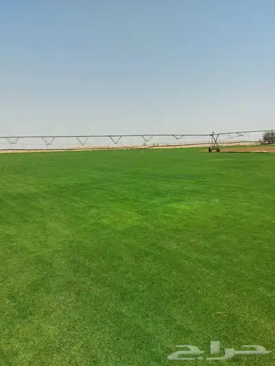 ثيل C200 درجه اولى 1