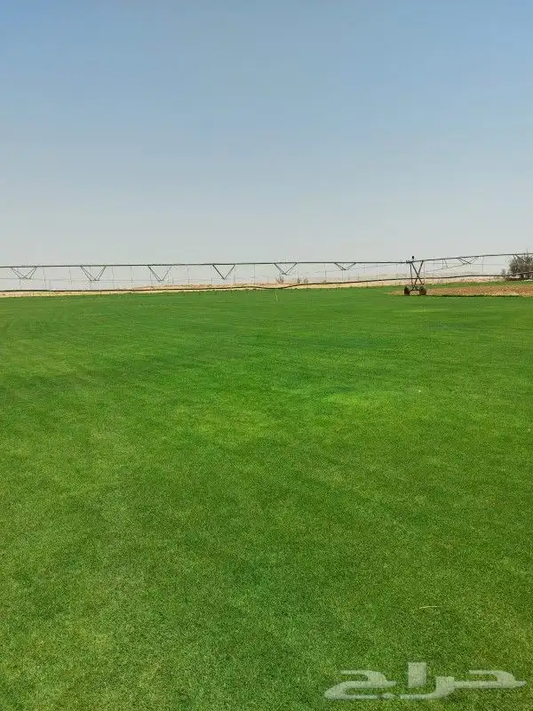 ثيل C200 درجه اولى 1