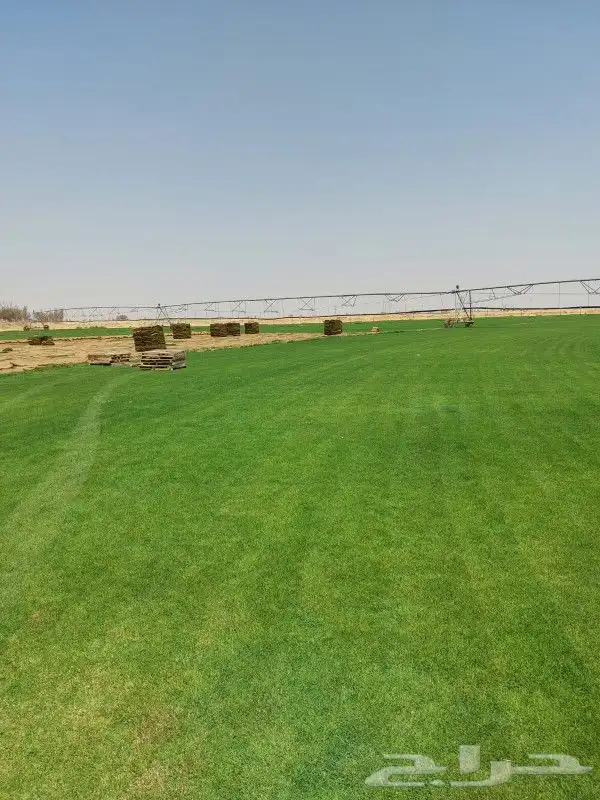 ثيل C200 درجه اولى 2